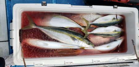 海龍丸(石川) 釣果