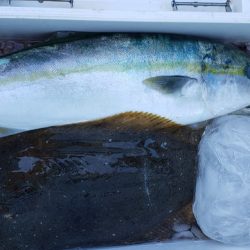 海龍丸(石川) 釣果