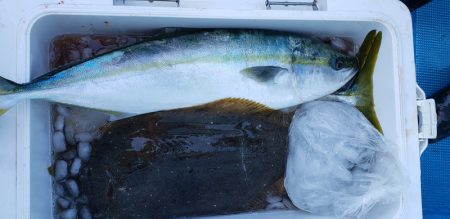 海龍丸(石川) 釣果