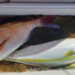 海龍丸(石川) 釣果