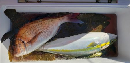 海龍丸(石川) 釣果