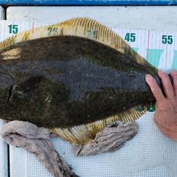 海龍丸(石川) 釣果