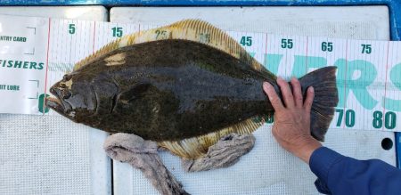 海龍丸(石川) 釣果