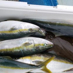 海龍丸(石川) 釣果