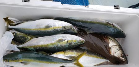 海龍丸(石川) 釣果