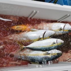 海龍丸(石川) 釣果