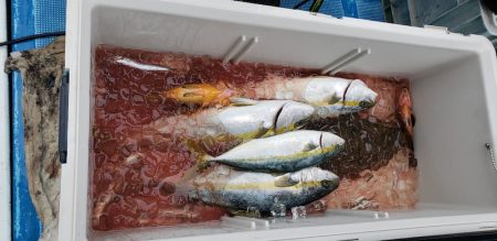 海龍丸(石川) 釣果