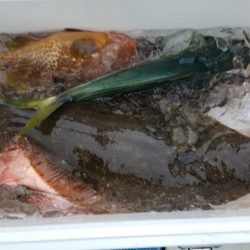 海龍丸(石川) 釣果