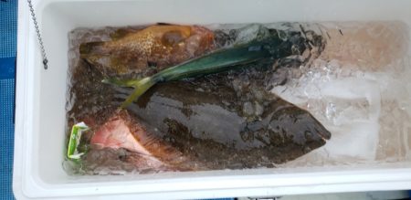 海龍丸(石川) 釣果