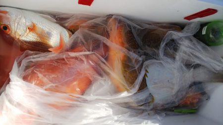 第二龍勢丸 釣果