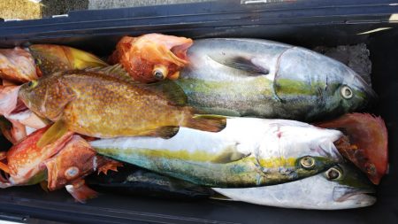 第二龍勢丸 釣果