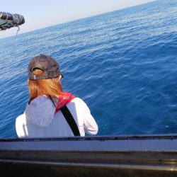 第二龍勢丸 釣果