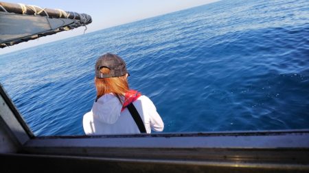 第二龍勢丸 釣果