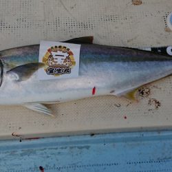 宝生丸 釣果