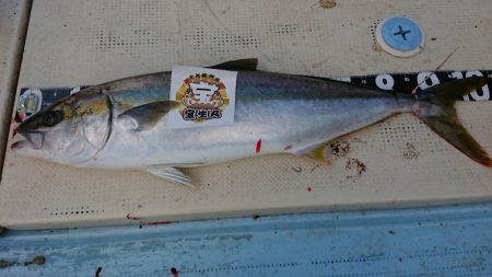 宝生丸 釣果