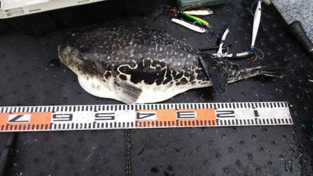 第二龍勢丸 釣果