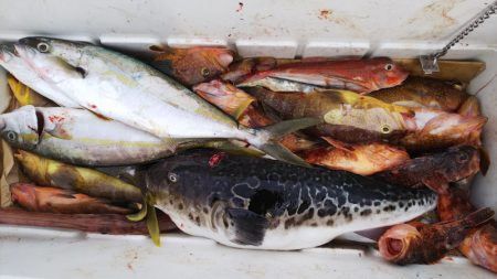 第二龍勢丸 釣果