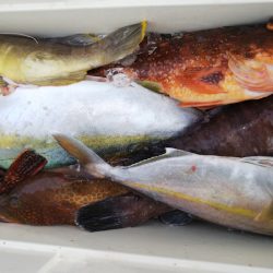 第二龍勢丸 釣果