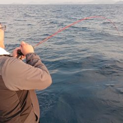 海皇丸 釣果