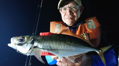 シースナイパー海龍 釣果