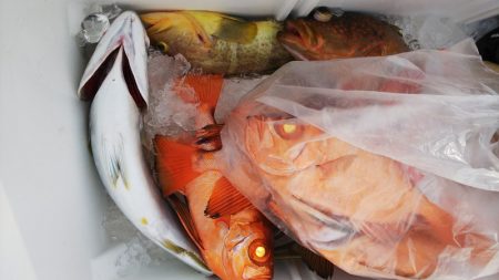 第二龍勢丸 釣果