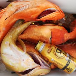 第二龍勢丸 釣果