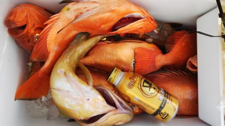 第二龍勢丸 釣果