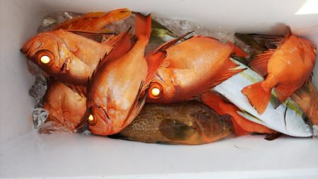 第二龍勢丸 釣果