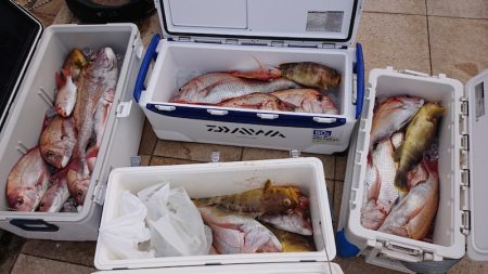 海皇丸 釣果