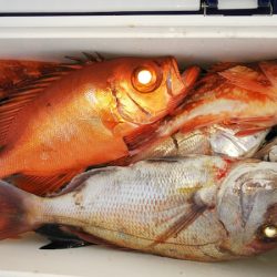 第二龍勢丸 釣果