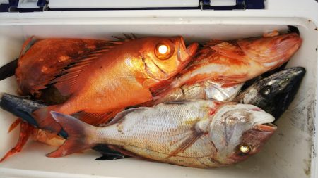 第二龍勢丸 釣果