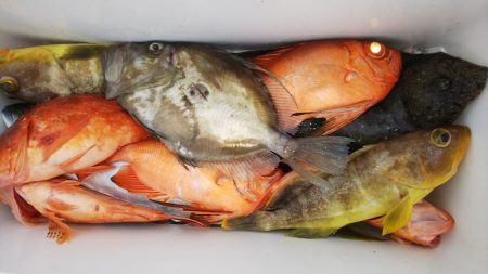 第二龍勢丸 釣果