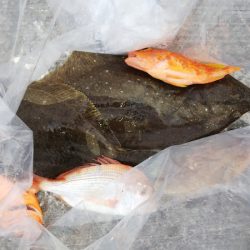 第二龍勢丸 釣果