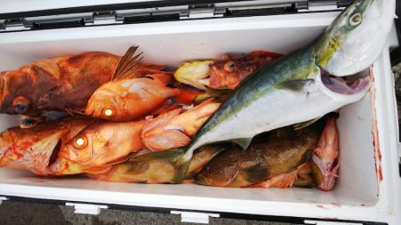 第二龍勢丸 釣果