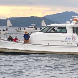 フィッシング キッタカ 釣果