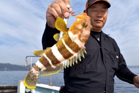 渡船屋たにぐち 釣果