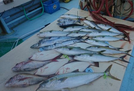 宝生丸 釣果