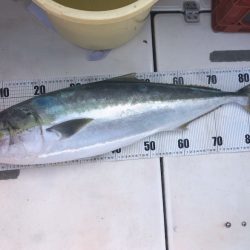 Ｖ−７ West 釣果