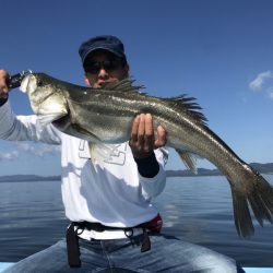 アマテラス 釣果