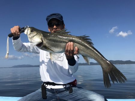 アマテラス 釣果