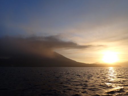 龍神丸(鹿児島) 釣果