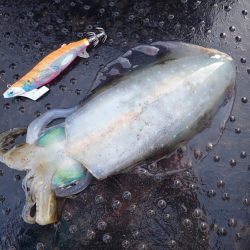 龍神丸(鹿児島) 釣果