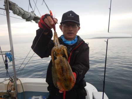 きずなまりん 釣果