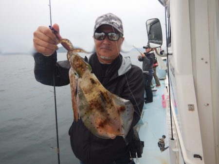 きずなまりん 釣果