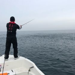「LaGooN」蒼陽丸 日和号 釣果