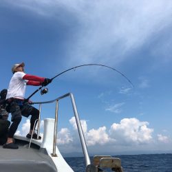 ＴＡＲＯＭＡＲＵ 釣果