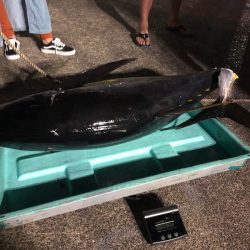 ＴＡＲＯＭＡＲＵ 釣果