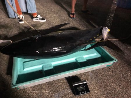 ＴＡＲＯＭＡＲＵ 釣果