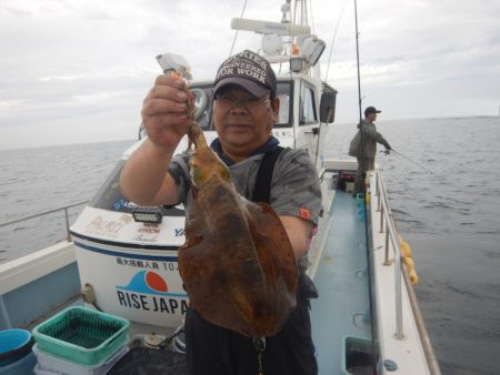 きずなまりん 釣果