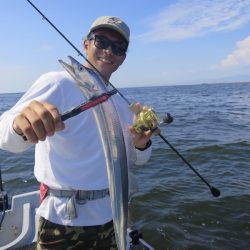 Chase(チェイス) 釣果